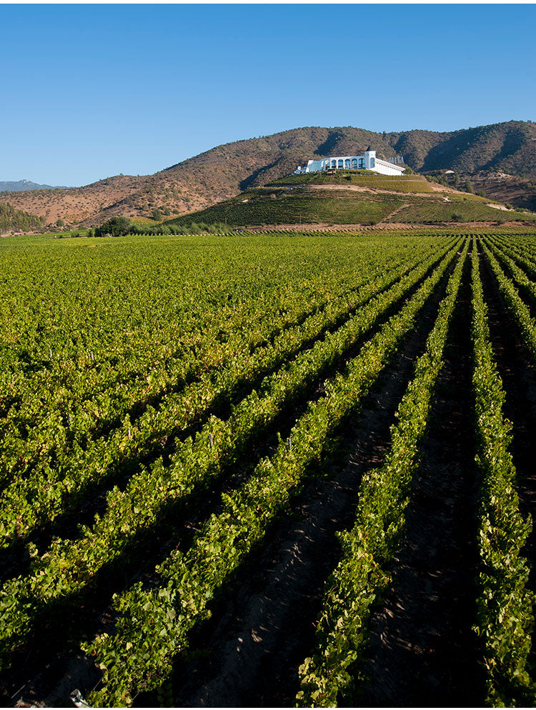 【12本セット】インドミタ グラン・レゼルバ カベルネ・ソーヴィニヨン 赤ワイン チリ チリワイン マイポ カベルネ グランレゼルバ 750ml Indomita ワイン ケース まとめ売り まとめ買い