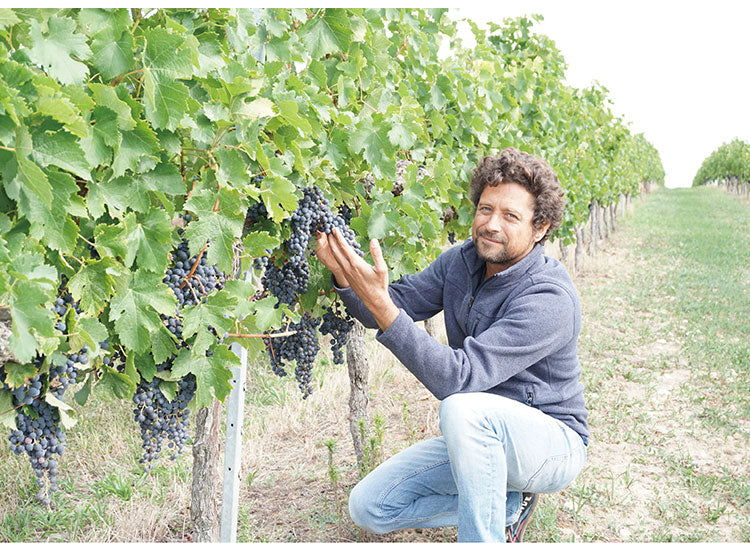 【12本セット】グラン・ベロ ブラン 白ワイン フランス フランスワイン ボルドー Bordeaux 金賞 グランベロ Grand Bellot 750ml 瓶 コルク ワイン ケース まとめ売り まとめ買い