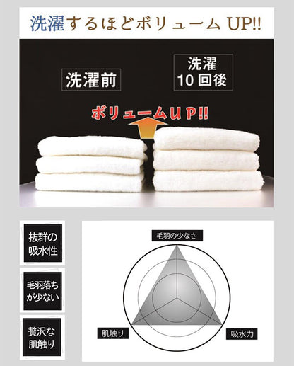 日本製 泉州産 天使の螺旋でボリューム2倍 触り心地抜群 タオルハンカチ MONO タオル 国産 厚手 高級感 おしゃれ かわいい モダン(代引不可)