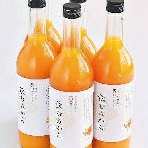 有田みかんジュース 「飲むみかん」 5本セット 産地直送 産直 食品 食べ物 お取り寄せ グルメ ご当地グルメ ジュース ソフトドリンク みかん 有田(代引不可)